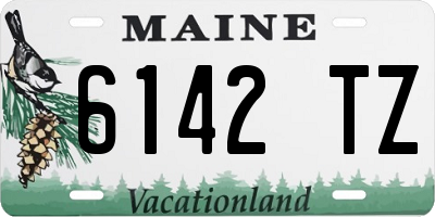 ME license plate 6142TZ