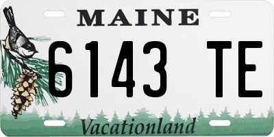 ME license plate 6143TE
