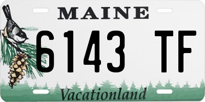 ME license plate 6143TF
