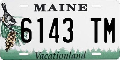 ME license plate 6143TM