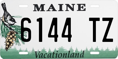 ME license plate 6144TZ