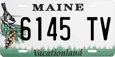 ME license plate 6145TV