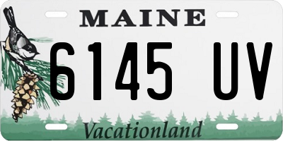 ME license plate 6145UV