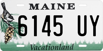 ME license plate 6145UY