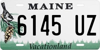 ME license plate 6145UZ