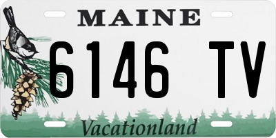 ME license plate 6146TV