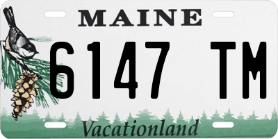 ME license plate 6147TM