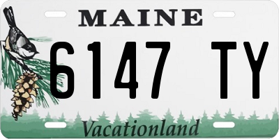 ME license plate 6147TY