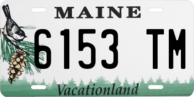 ME license plate 6153TM