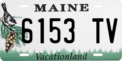 ME license plate 6153TV