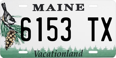 ME license plate 6153TX