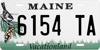 ME license plate 6154TA