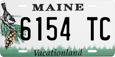 ME license plate 6154TC