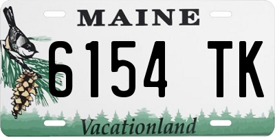ME license plate 6154TK