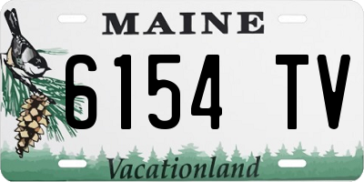 ME license plate 6154TV