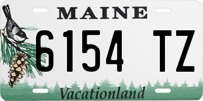 ME license plate 6154TZ