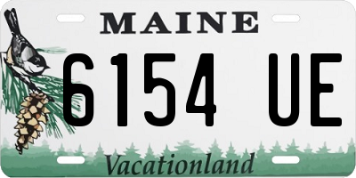 ME license plate 6154UE