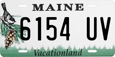 ME license plate 6154UV