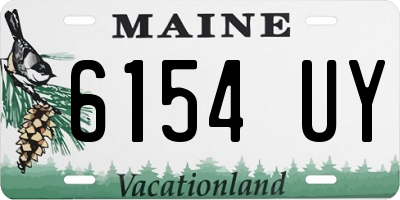 ME license plate 6154UY