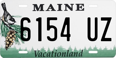 ME license plate 6154UZ