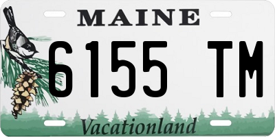 ME license plate 6155TM