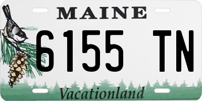 ME license plate 6155TN