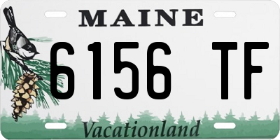 ME license plate 6156TF
