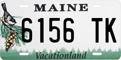 ME license plate 6156TK