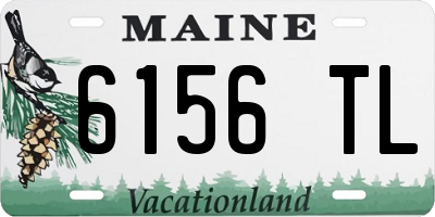 ME license plate 6156TL