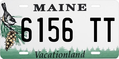 ME license plate 6156TT