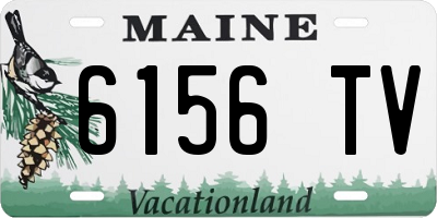 ME license plate 6156TV