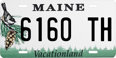 ME license plate 6160TH