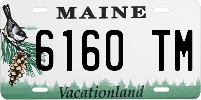 ME license plate 6160TM