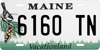 ME license plate 6160TN