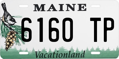 ME license plate 6160TP