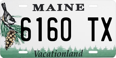 ME license plate 6160TX