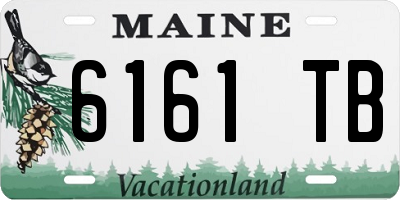ME license plate 6161TB