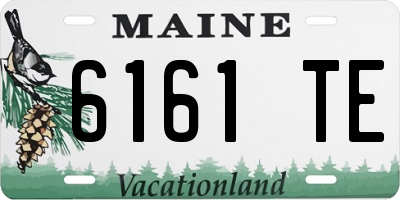 ME license plate 6161TE