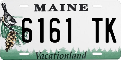 ME license plate 6161TK