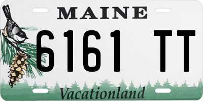 ME license plate 6161TT