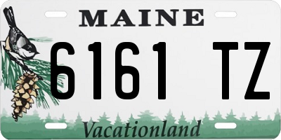 ME license plate 6161TZ
