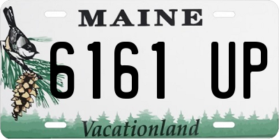 ME license plate 6161UP