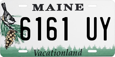 ME license plate 6161UY