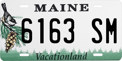 ME license plate 6163SM