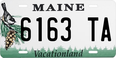 ME license plate 6163TA