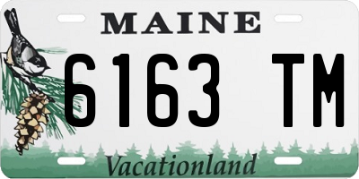 ME license plate 6163TM