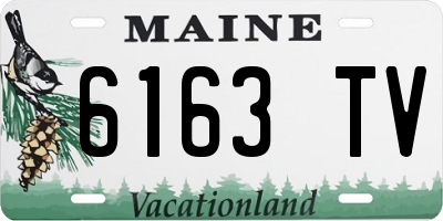 ME license plate 6163TV