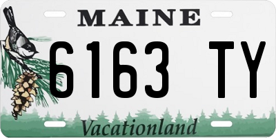 ME license plate 6163TY