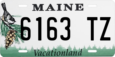 ME license plate 6163TZ