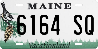 ME license plate 6164SQ